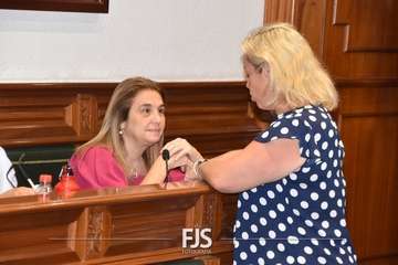 Pleno ordinario de julio de 2022/Francisco Javier Santana.